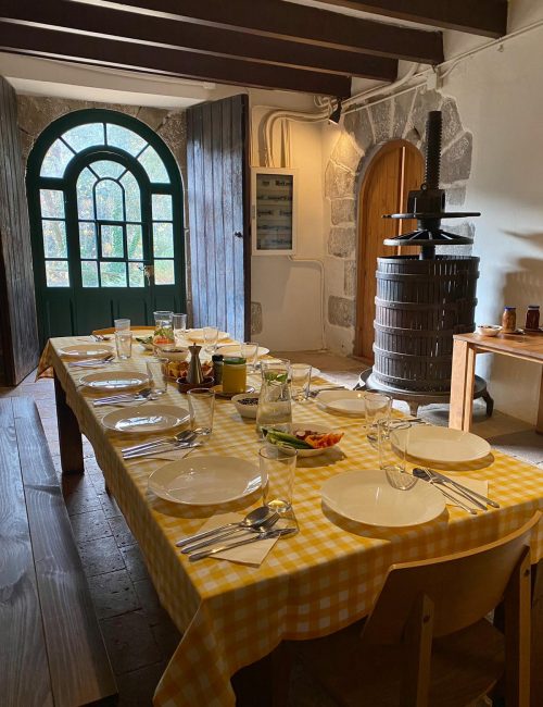 9811f295-bef8-4a51-9cbc-170a8eeaf582